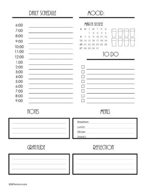 Daily Calendar Template with a monthly calendar, daily schedule, to do list, notes, meals, gratitude, reflection and mood