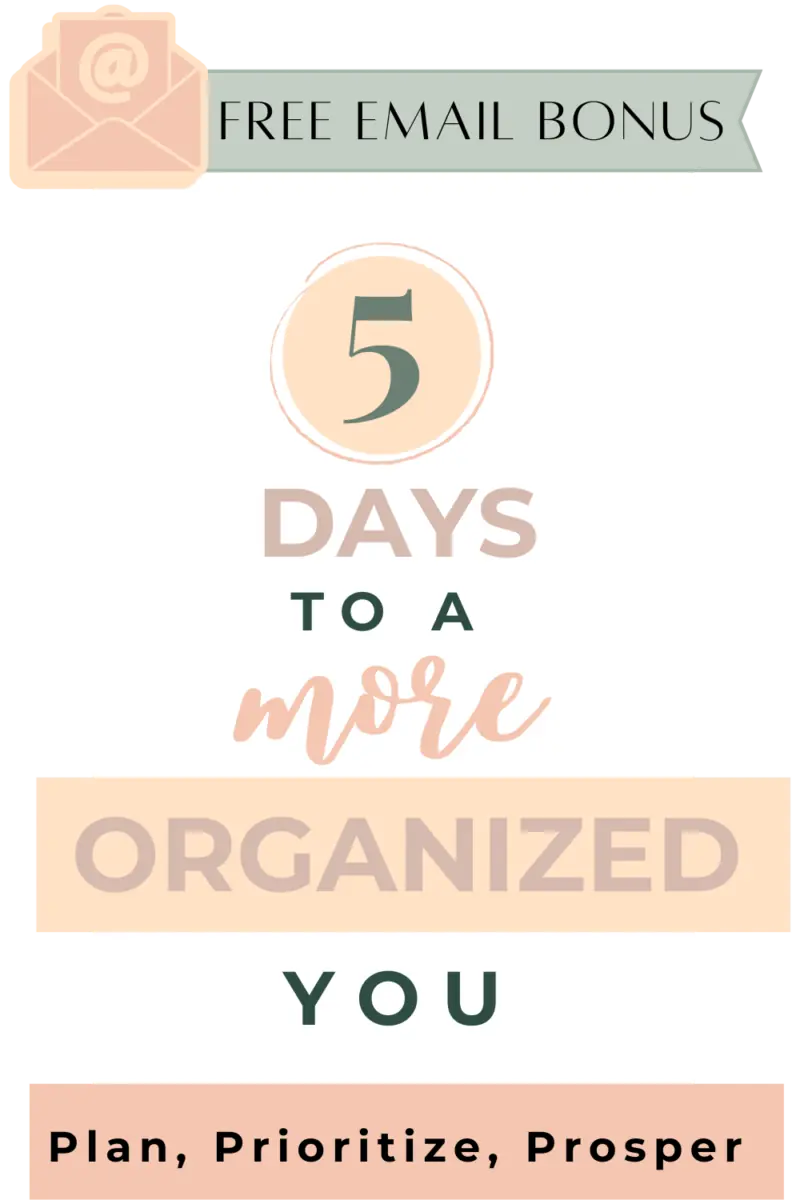 5 days to a more organized you