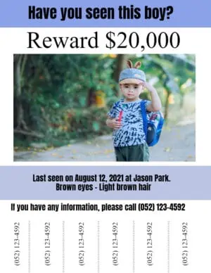 Missing kid poster