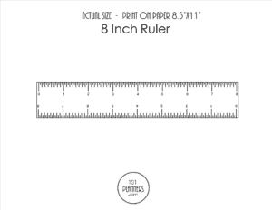 8-inch ruler