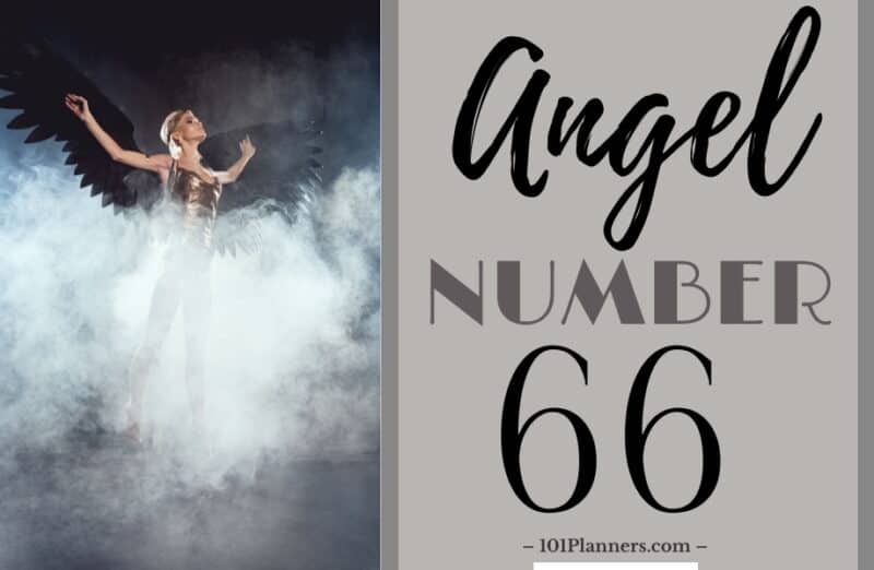 angel number 66