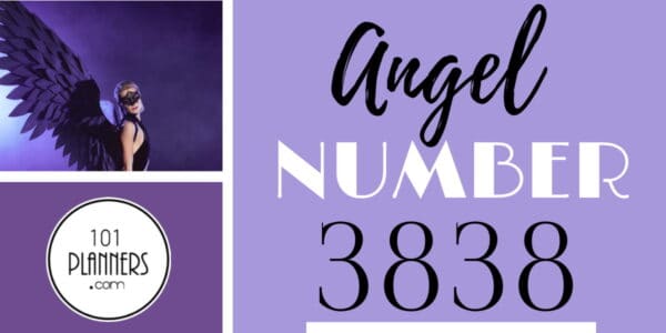 3838 angel number