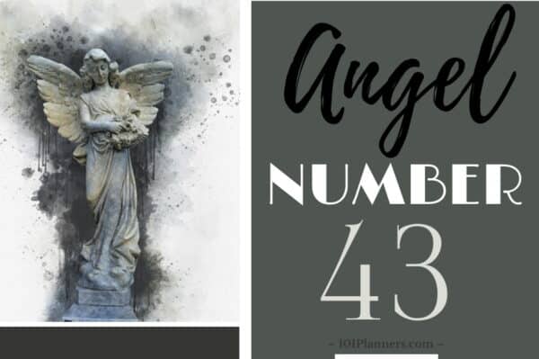 43 angel number