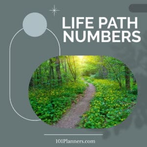 life path numbers