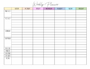 Weekly planner with gratitude and self-care in color