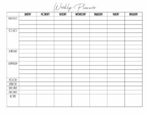 Weekly planner with gratitude and self-care