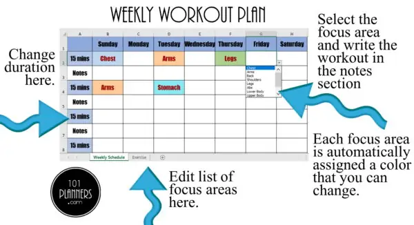 weekly workout plan by body area