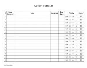 Action Item List