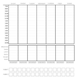 Hourly Weekly Schedule Template from www.101planners.com