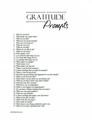 Gratitude journal prompts