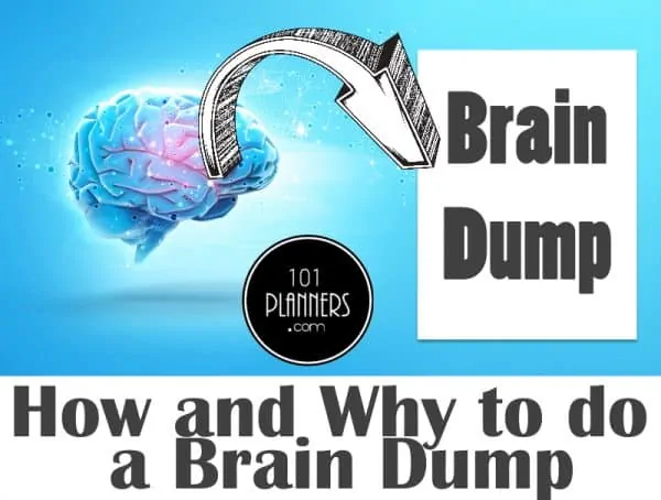The Brain Dump