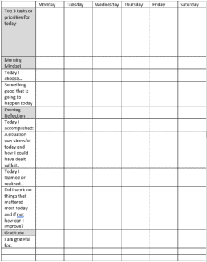 Weekly Goal Planner with questions about daily priorities, morning mindset, evening reflection and gratitude