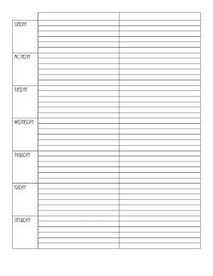 Week template from Sunday to Saturday for 7 days and two sections per day with a blank space for titles