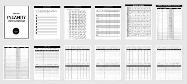 insanity workout planner