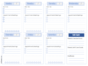 weekly schedule with self care section, a water tracker, must do list and appointments/meetings and blue titles