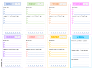weekly schedule with gratitude, a water tracker, must do list and appointments/meetings