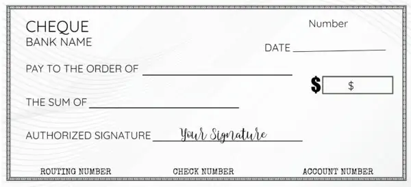Fillable blank check template