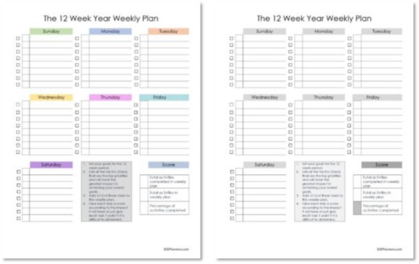 12 week year weekly plan with a score for each week and instructions on how to use the 12 week year system