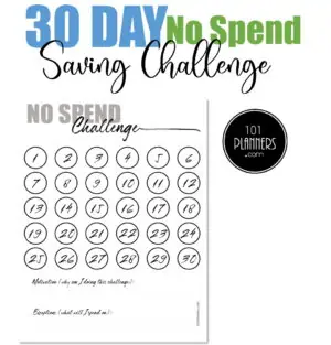 30 day no spend challenge
