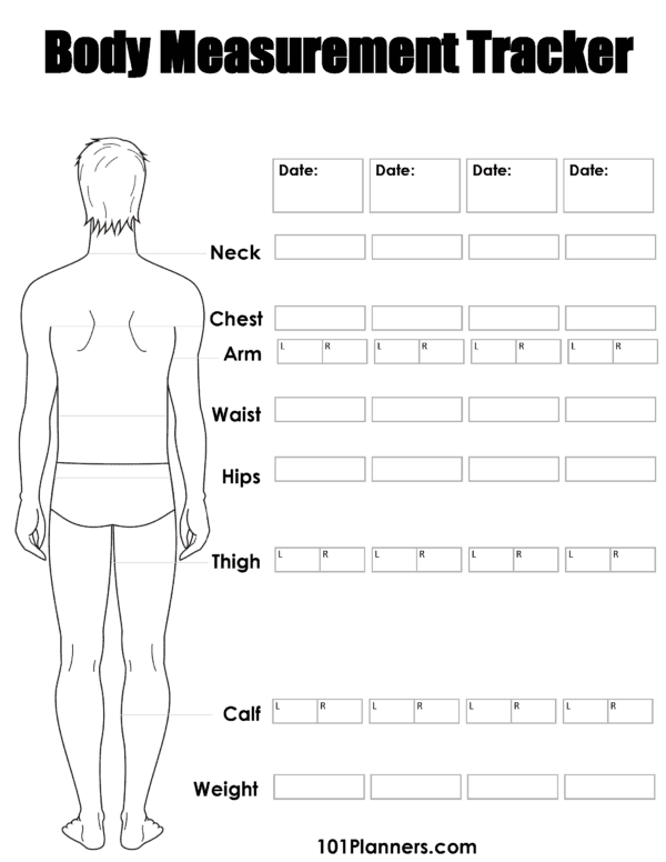 printable male body measurements chart