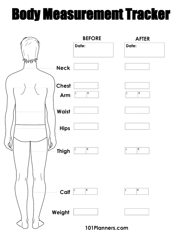 male body measurements chart