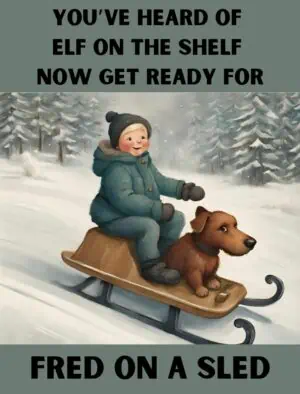 Fred on a sled