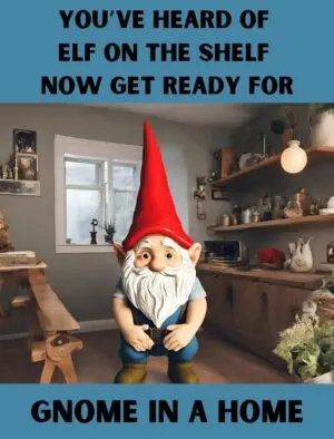 Gnome In A Home