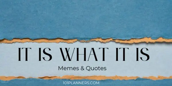It is what it is meme and quotes