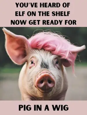 Pig In A Wig