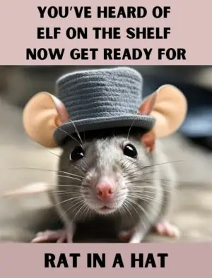 Rat In A Hat
