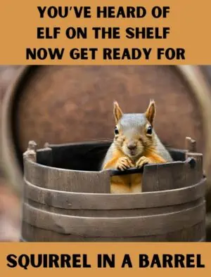Squirrel In A Barrel
