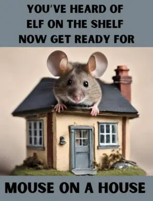 mouse on a house