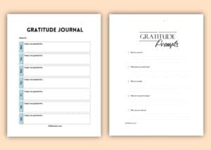 gratitude journal